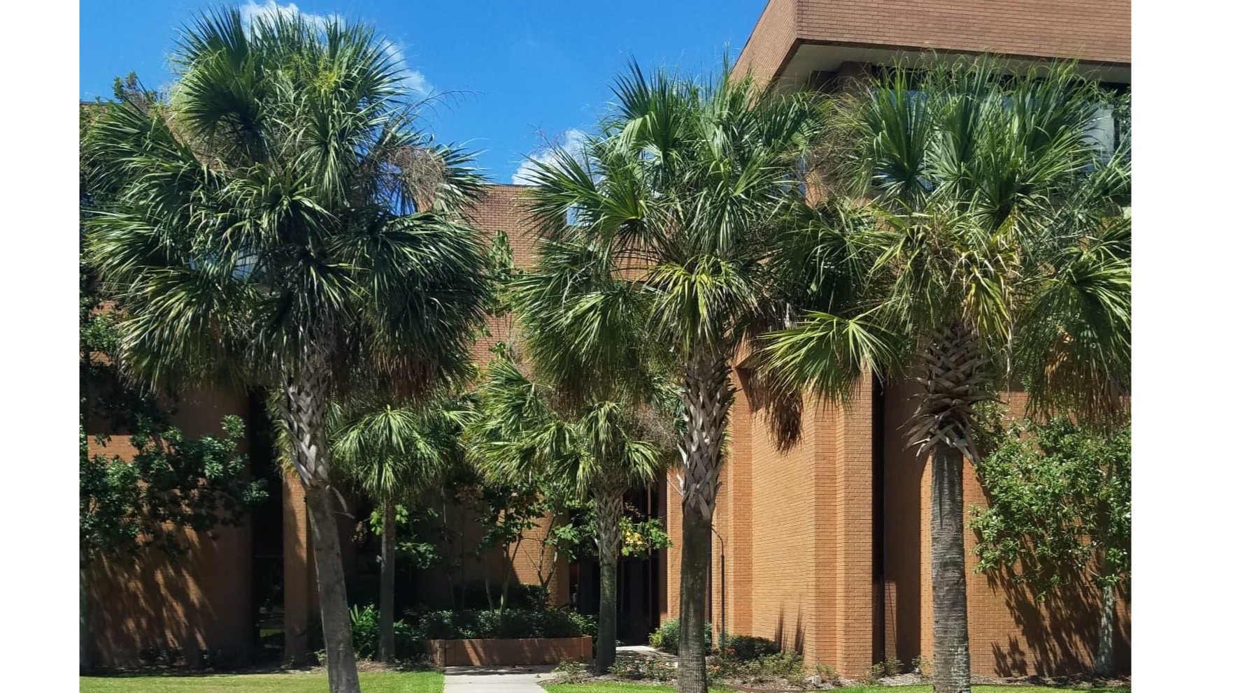 NOLA Lending Group, Erin LaFont 01