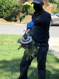 EcoCity Pest Control 04