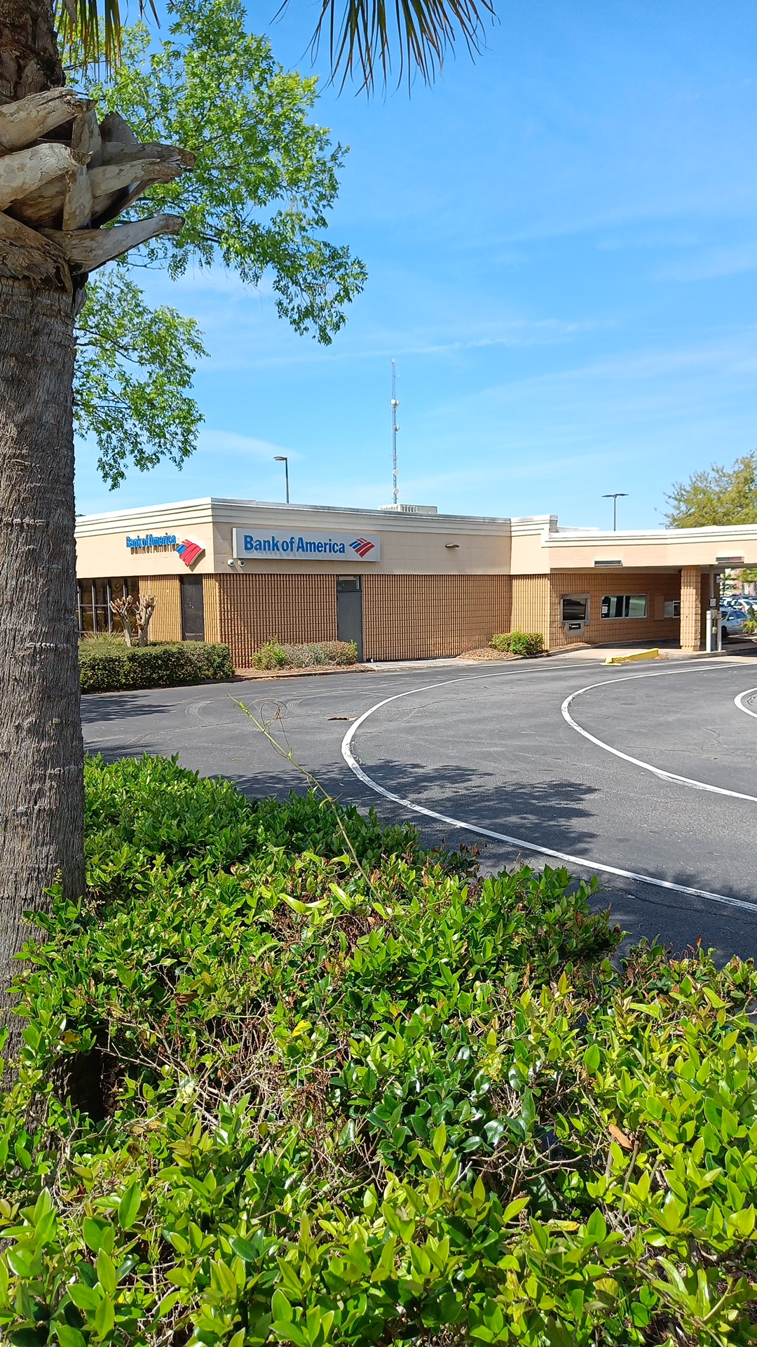 Bank of America (with Drive-thru services) 01