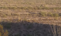 Get Mexican Insurance 03