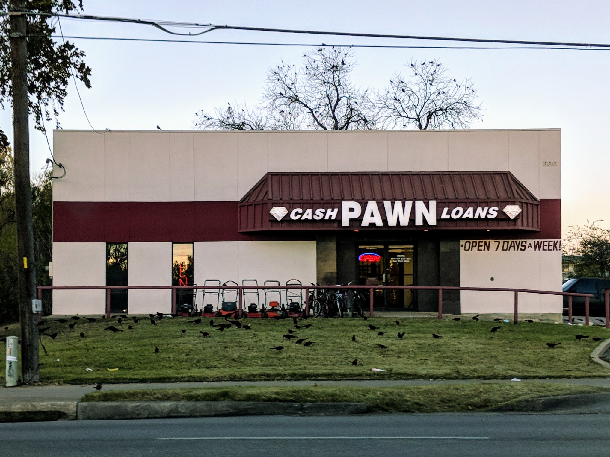Top Cash Pawn 01
