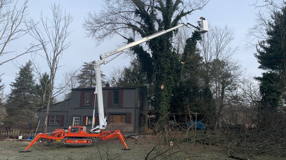 Hudson & Son's Tree Service 01