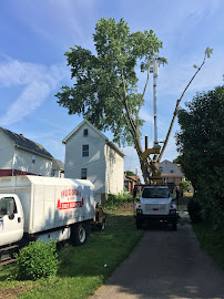 Hudson & Son's Tree Service 02