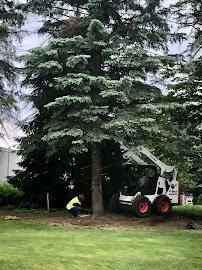 Hudson & Son's Tree Service 03