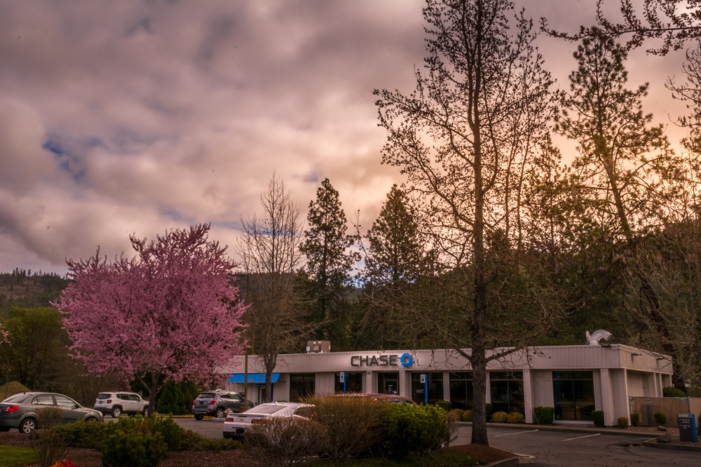 Chase Bank 01