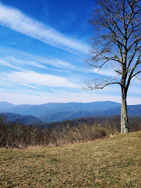 Atop Ole Smoky Real Estate 04