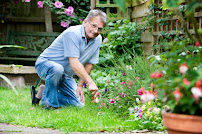 Reverse Mortgage Advisor 02