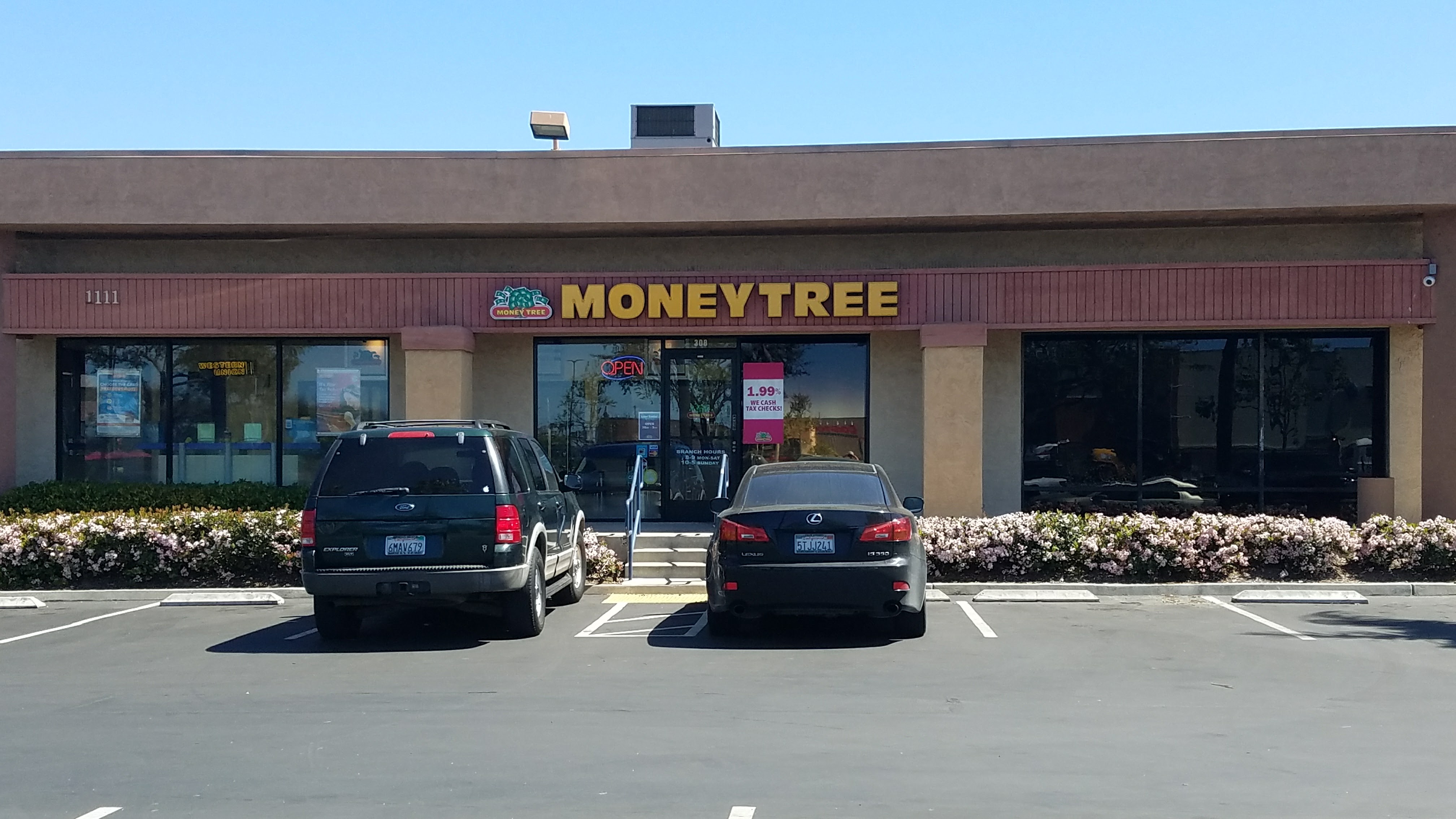 Moneytree 01