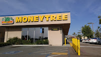 Moneytree 02
