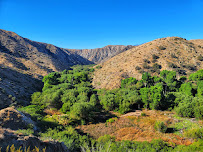 Big Morongo Canyon Preserve 01