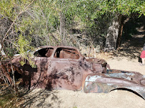 Big Morongo Canyon Preserve 03
