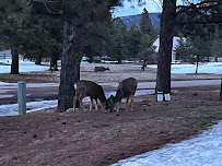 Angel Fire Resort Mountain Rentals and Property Management 01