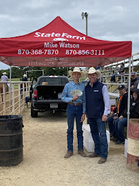 Mike Watson - State Farm Insurance Agent 04