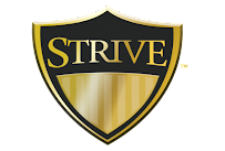 STRIVE Wealth & Protection Planning 02