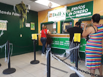 DolEx Dollar Express 03
