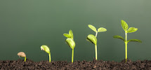 Viribus Capital Group 01