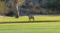 Indian Wells Country Club 02