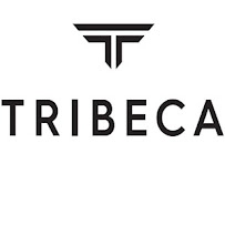 Tribeca Capital Group, LLC - Lawsuit Loans 02