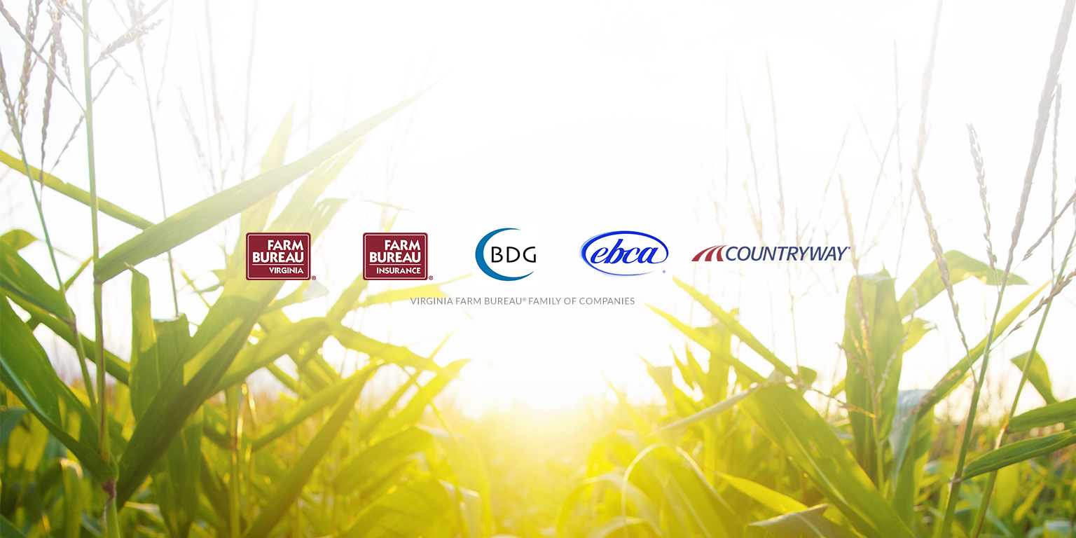 Virginia Farm Bureau Insurance 01