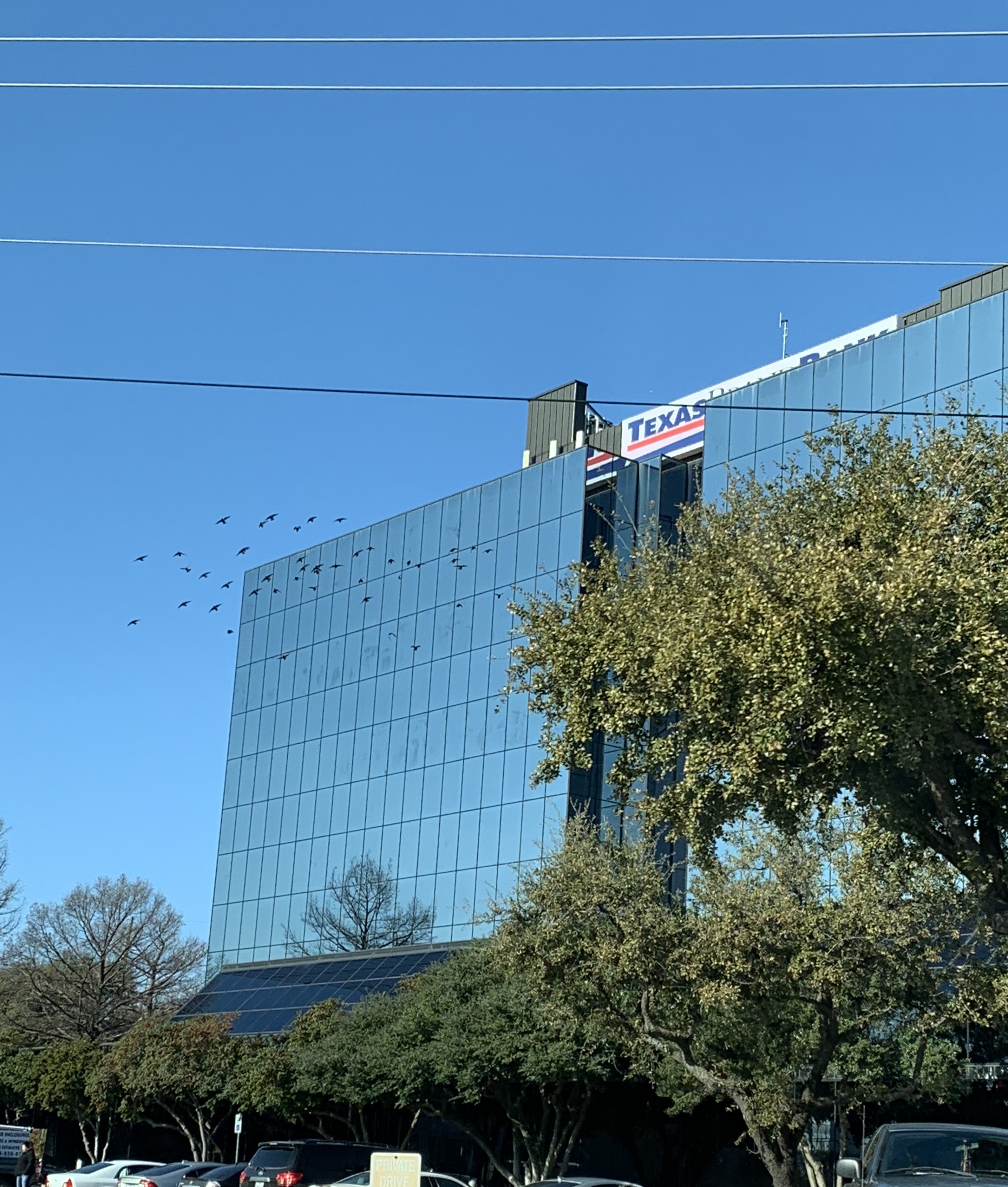 Texas Brand Bank 01