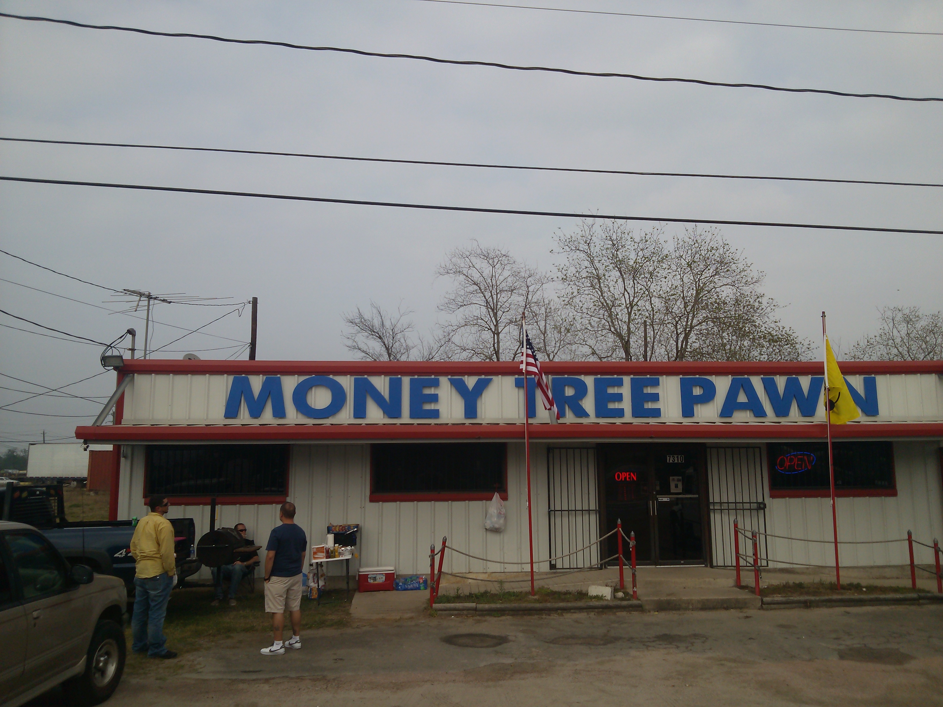 Money Tree Pawn 01