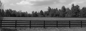 Carolina Farms & Estates, LLC 01