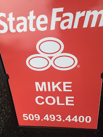 State Farm Insurance 03