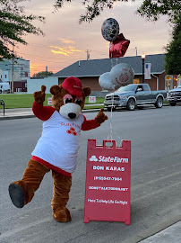 Don Karas - State Farm Insurance Agent 03