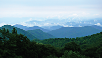 Highland Trust Partners LLC 03