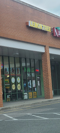 Lemon Tree Hair Salon Deer Park / N. Babylon 03