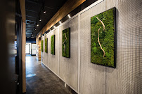 Blue Foundry Bank 03