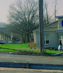 S&T Bank 01