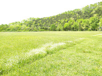 Roaring River Park 04