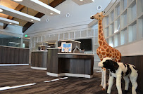 New Horizon Bank 02
