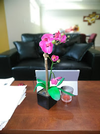 David Kay Consultants Inc 04
