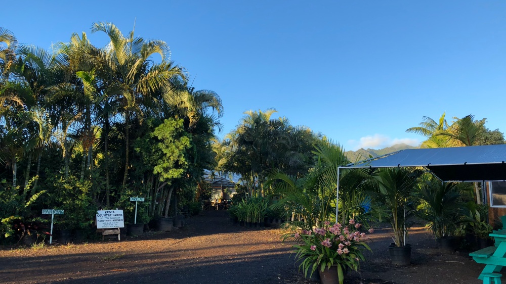 Kunia Country Farms 01