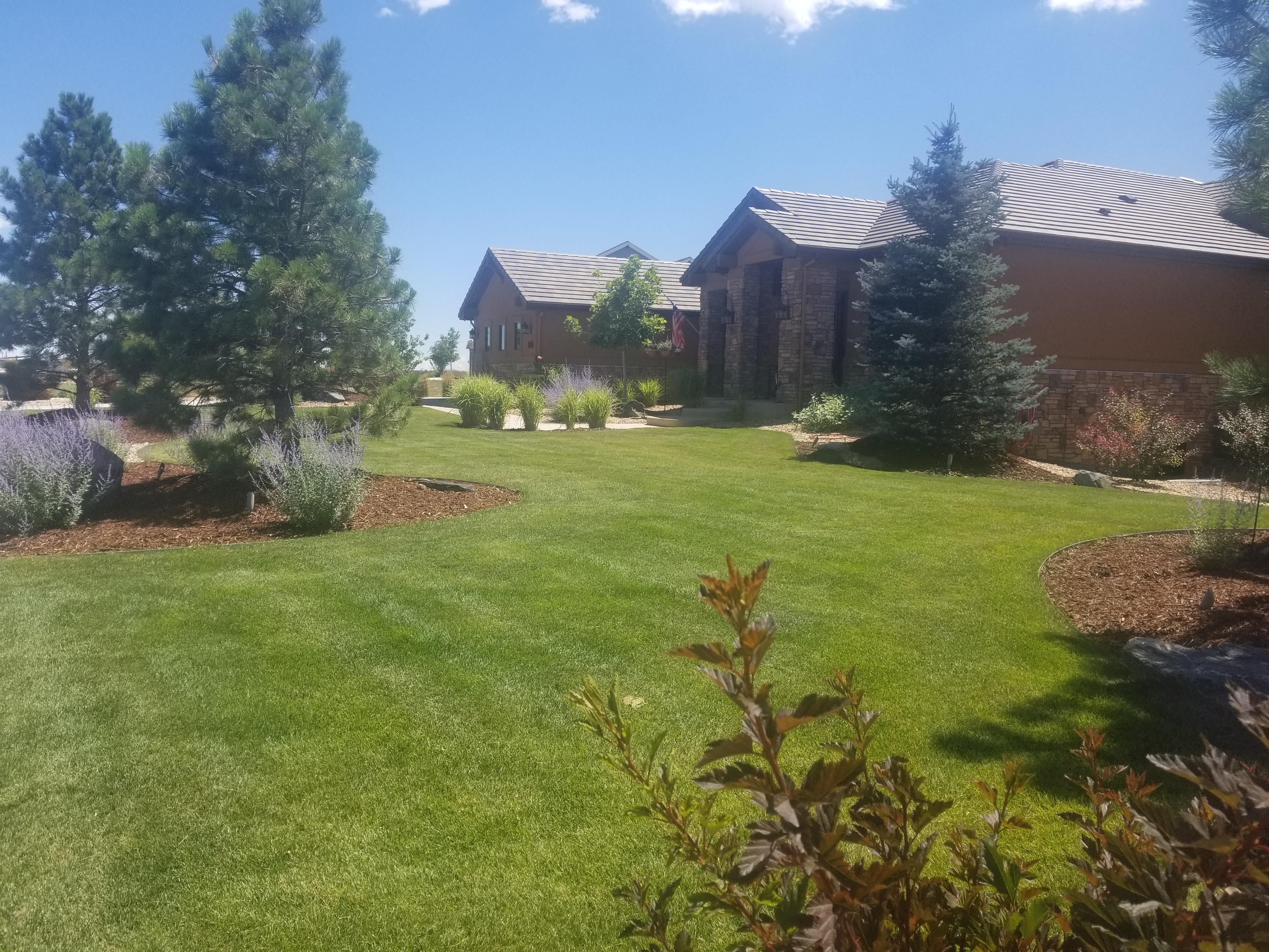 JS Enterprises Professional Custom Landscaping 01