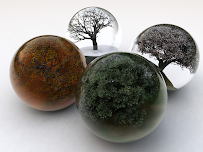 Seasons Capital Group, LLC 01