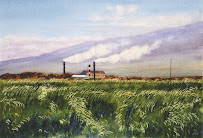 Maui Aina Appraisal Co 02