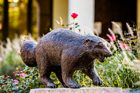 Wolverine Mutual Insurance Company 01