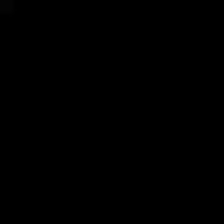 AUTO FINANCE INC 02