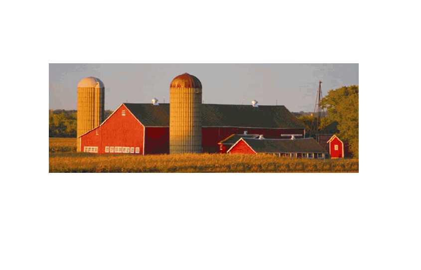 Nebraska Crop Insurance Agency Inc. 01