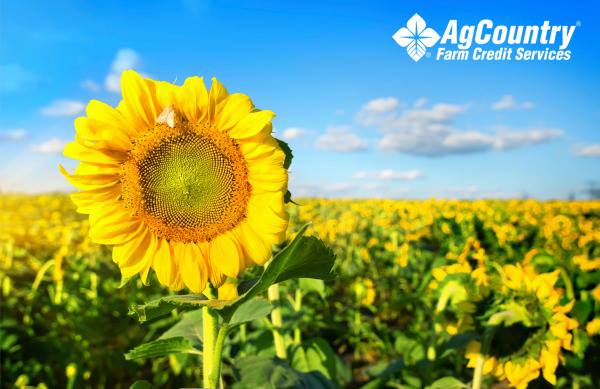 AgCountry Farm Credit Services 01