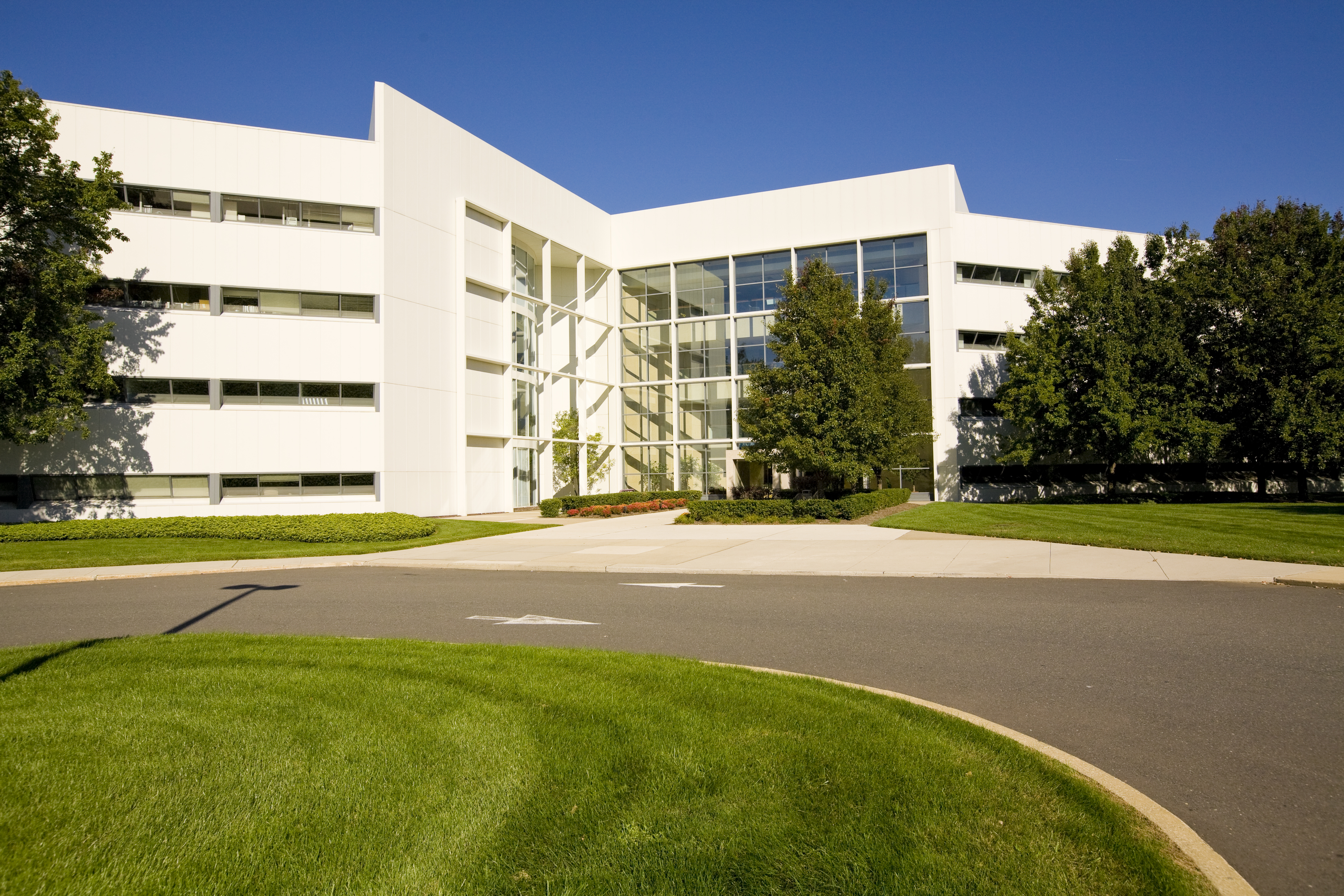 Bergman Real Estate Group 01