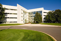 Bergman Real Estate Group 01