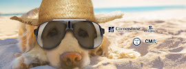 Laurie Weissinger Mays - Cornerstone Home Lending 01