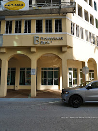 Professional Bank 02