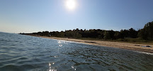 Beverly Shores Project Area 03