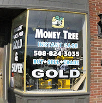 Taunton Pawn / Money Tree 02