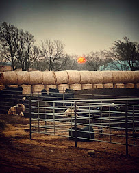 Mid-Kansas Title Co Inc 02